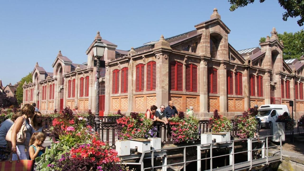 Colmar Nature - Quiet Apartment Maraichers Luaran gambar